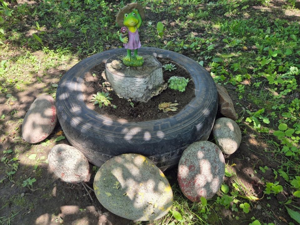 Как создать стильную альпийскую горку для суккулентов своими руками