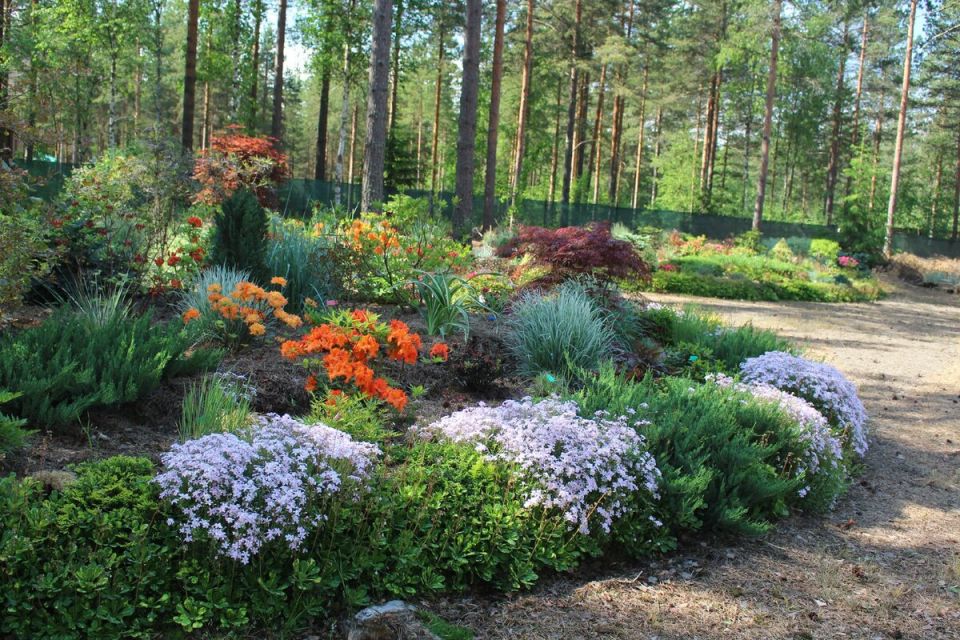 Как правильно планировать загородный участок: советы от опытных садоводов