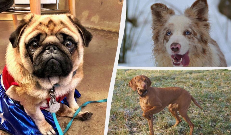 ������� �����������: ����� ������ ������� ������������� �������� ������ �����?