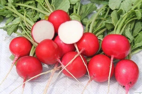 ����� �����������: ������� ��������� ����������� ������� ���