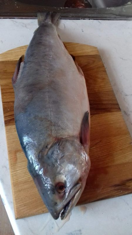 ������� ������ ������� � �����