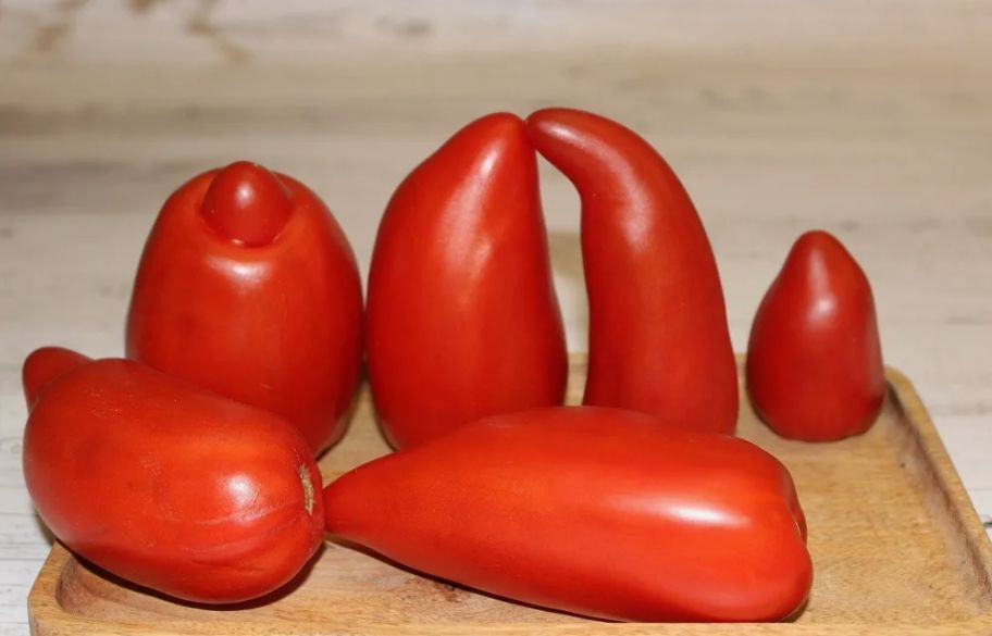 ������ �� ��������� ������: ����� ������ ��� �������� ��������� ������