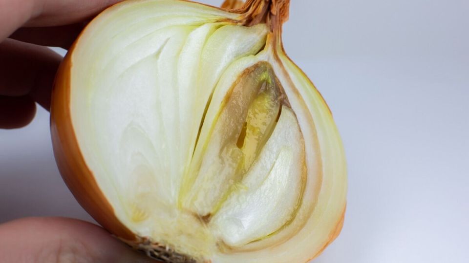 Почему лук гниет изнутри: основные причины и способы борьбы