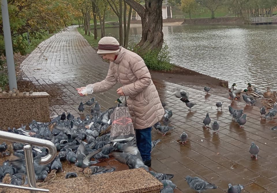 ����� ���������� ������: ��� ��������� � 2026 ����