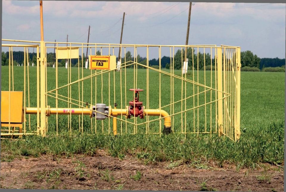 ������� ������ �������: ��� ������� ��������� ����������� ��������� �������