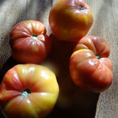 ����� ��������� �������: ��������� ����� ��� ��������