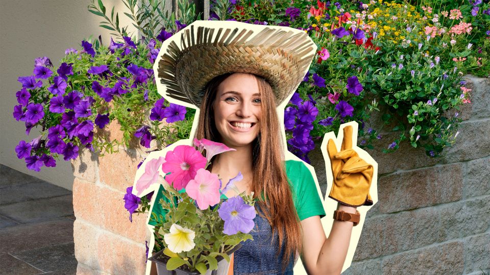 ������� ������ ��� �� �������: ���������� ��� 3 ������� ��� ���������