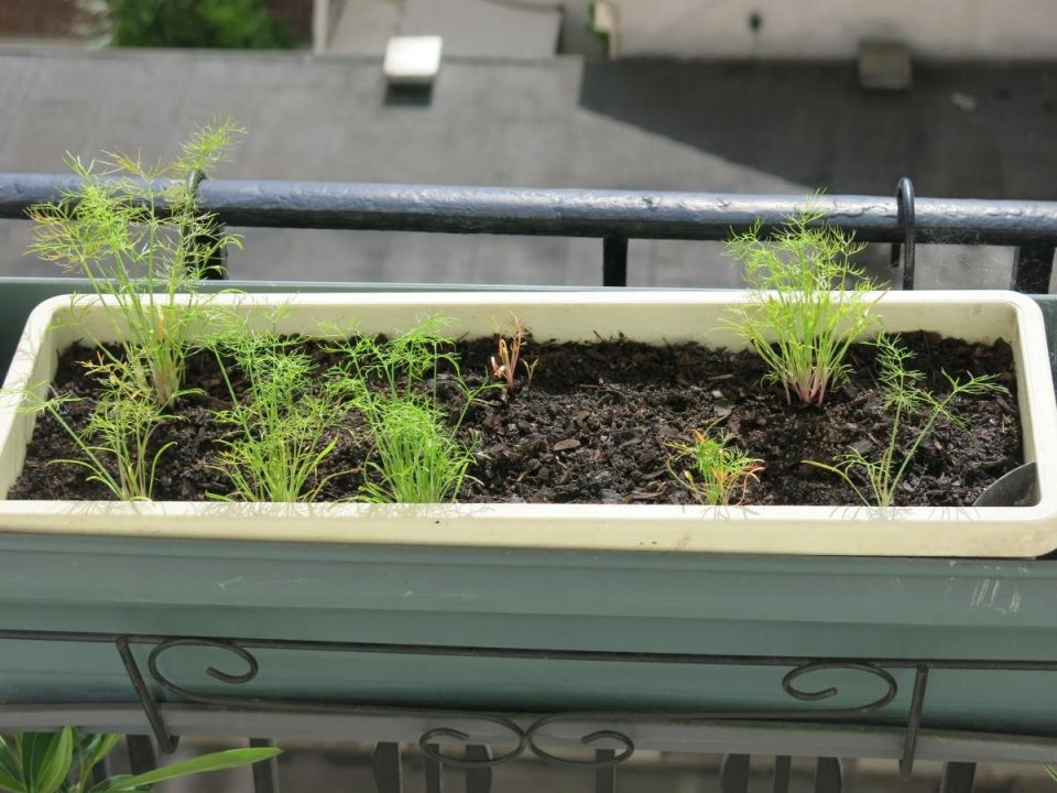 ������� �� ����: �������� �������� ��� ������ �����