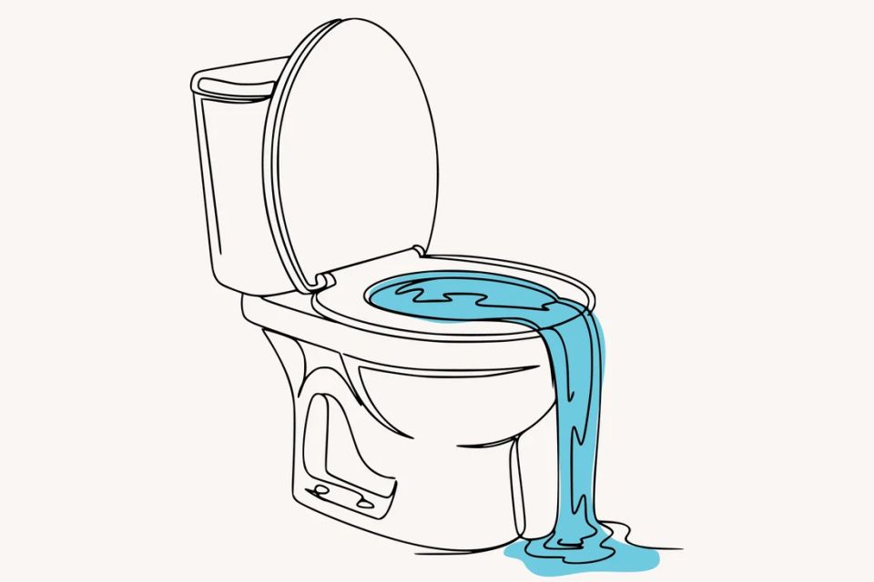 Как избавиться от засора в унитазе без вызова сантехника