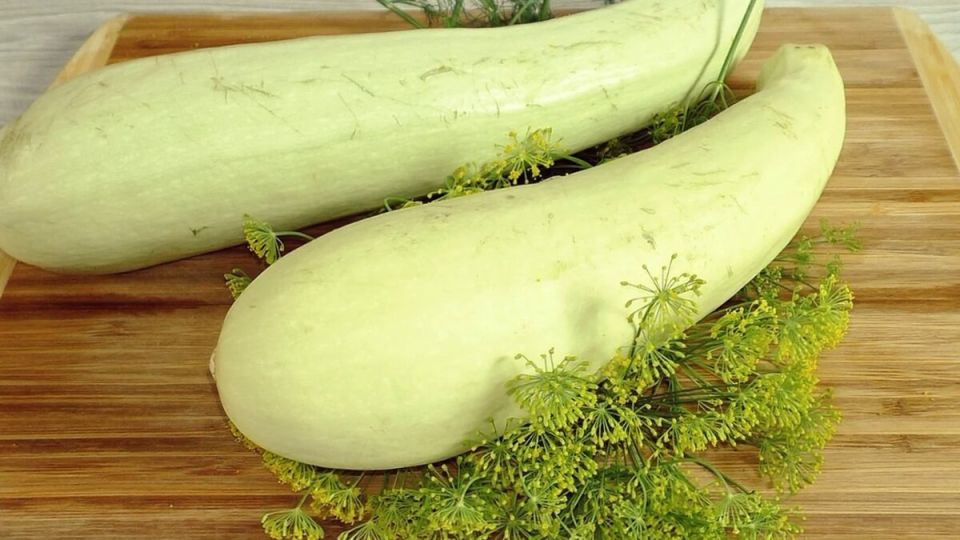 Овощные находки и кулинарные лайфхаки: лучшие товары с Wildberries