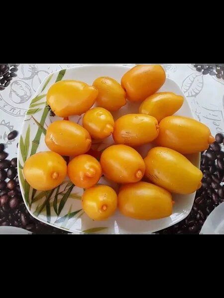 Томат, который украсит ваш огород: гном банановые пальчики