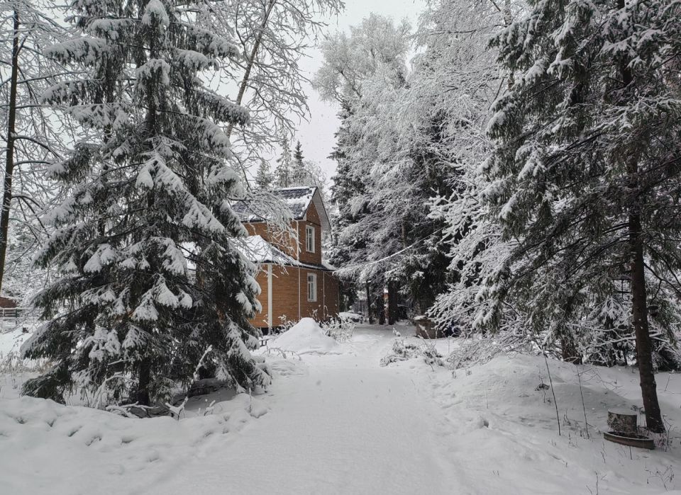 ������ ������ ��� ����� ��� ������ ������ ��������: ������� � ������