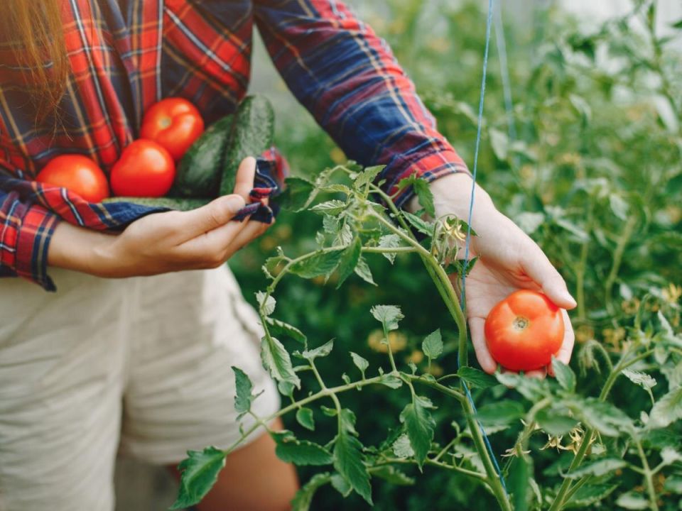 ����� ��� �������� �������: ��� ����� ��������� � ����