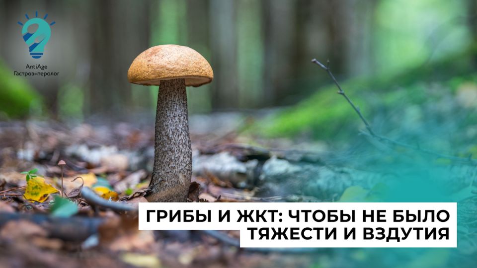 Грибы и здоровье желудка: можно ли их есть при проблемах с ЖКТ?
