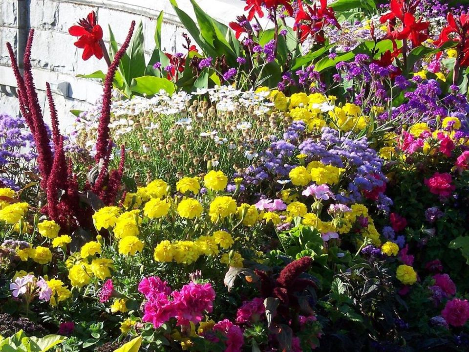 ��������� ������ ��������� ������� �������� ��� ��� �������� ������