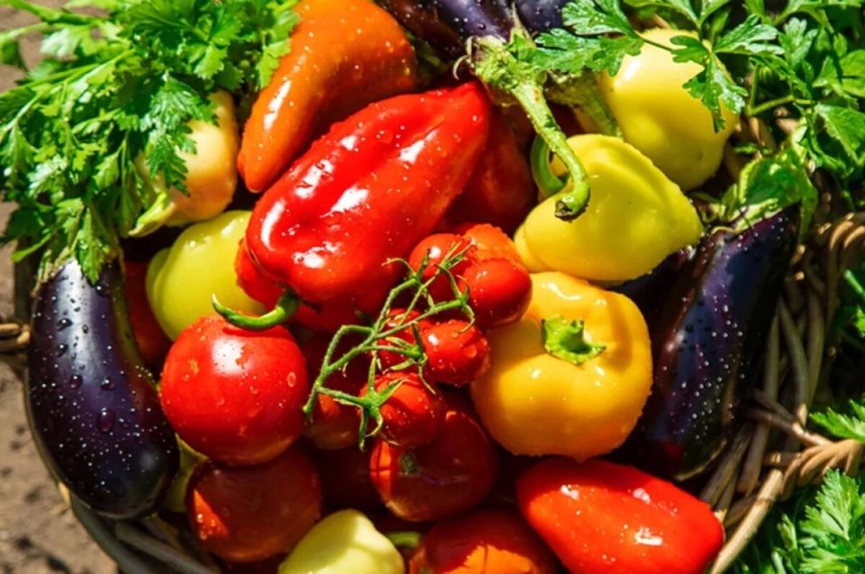 ������ ����� ������ �������, ���������� � ������ ��� ���������� �������