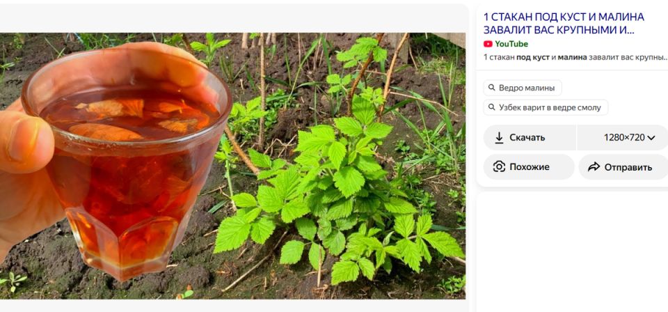 ����������� � ���� ��� ����������: ��� �� ���������� ������ � ���������� �����������