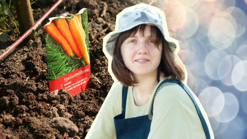 ��� ������ ������� ������ �������: ������ ����� ���������� � �� ������