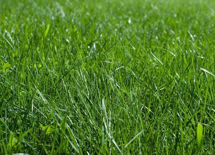 ����� ���� ������������ �������������: �������� �������� ��� ������ ������