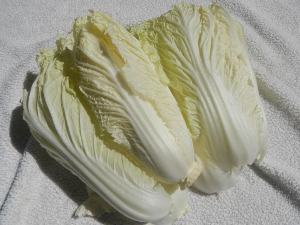 ������� ��������� ����� ��������� �������: �� ������ �� �����