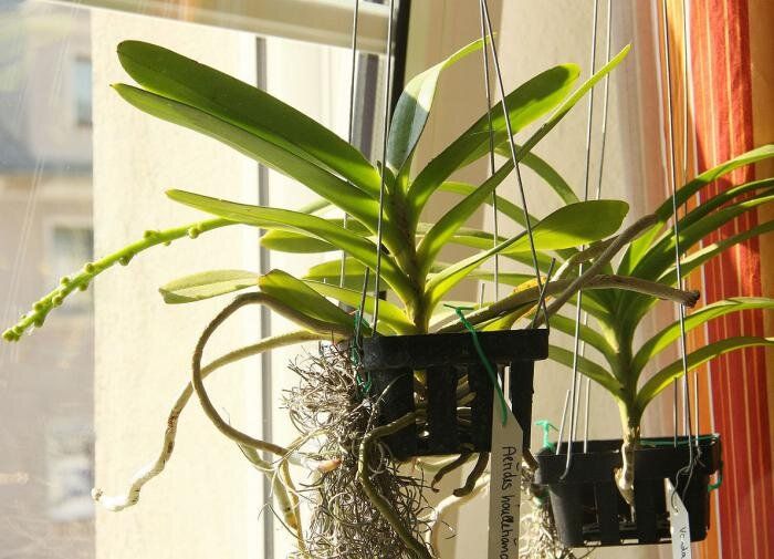 ��������� ������� ��� �����: ����� ������ � ����� �� �������