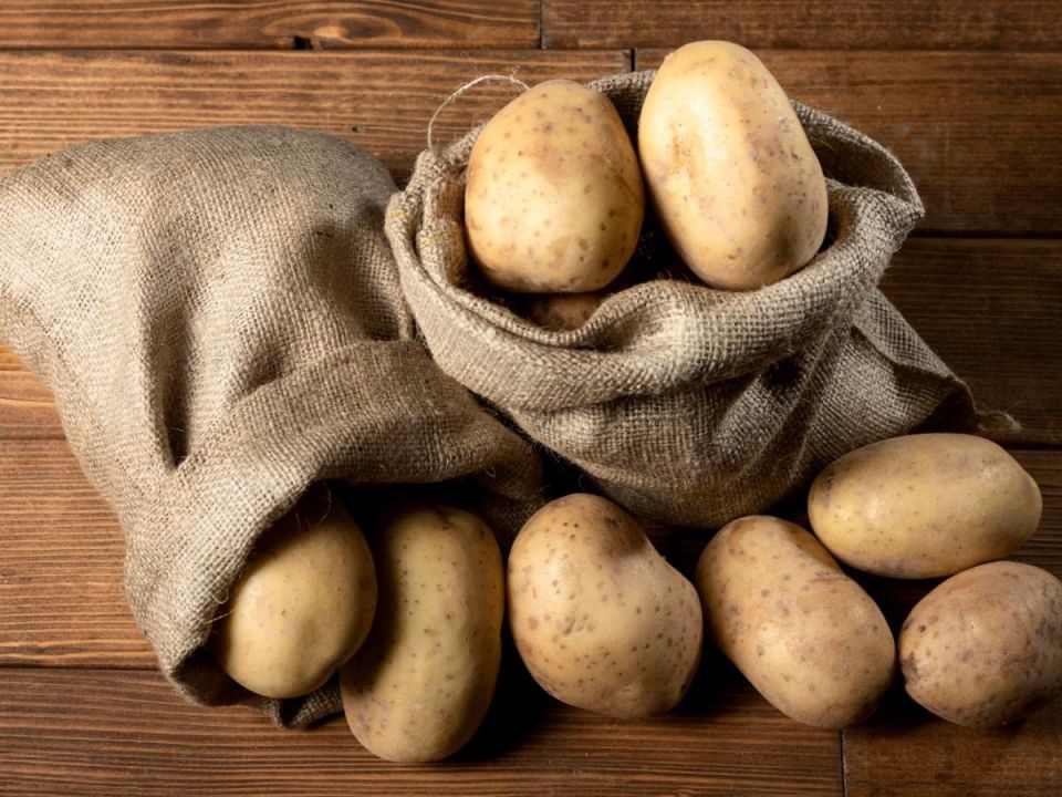 ��� ������ ������� ��������� �� �����������