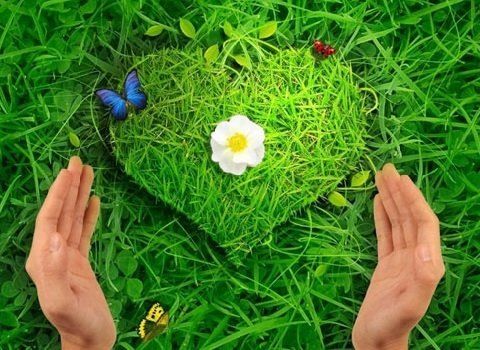 ��������� ��� �����: ��� ��������� � ��������� ��������