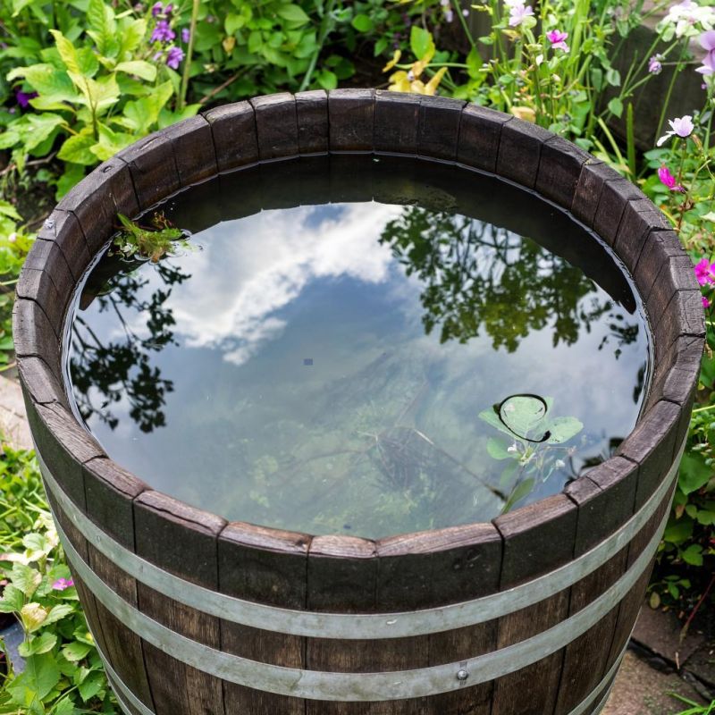 Как защитить садовую бочку от зимних разрушений: советы экспертов