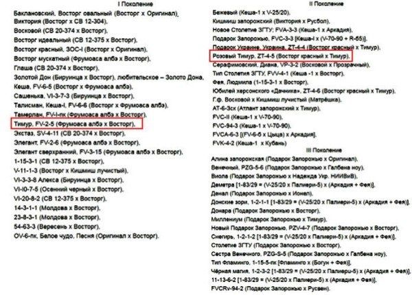 �������� �����: ��������������� ����������� � ������ ���������