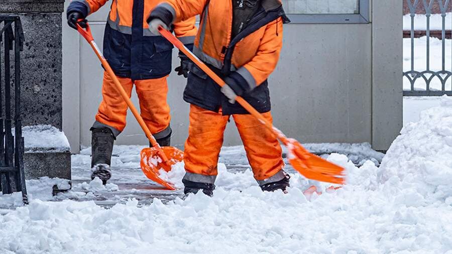 � ������ ���������� ������� ���������� ������������ �����