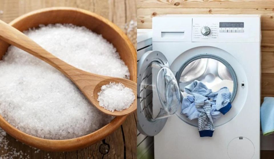 ��� ����� ���� ����� ���� ����� �������� ���� ������