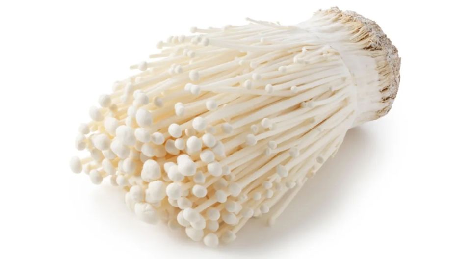 ���������: ����� � ��������� ��������