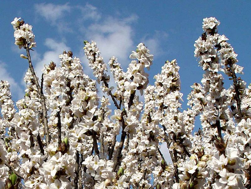 ������� � ���������� ��������� � ������