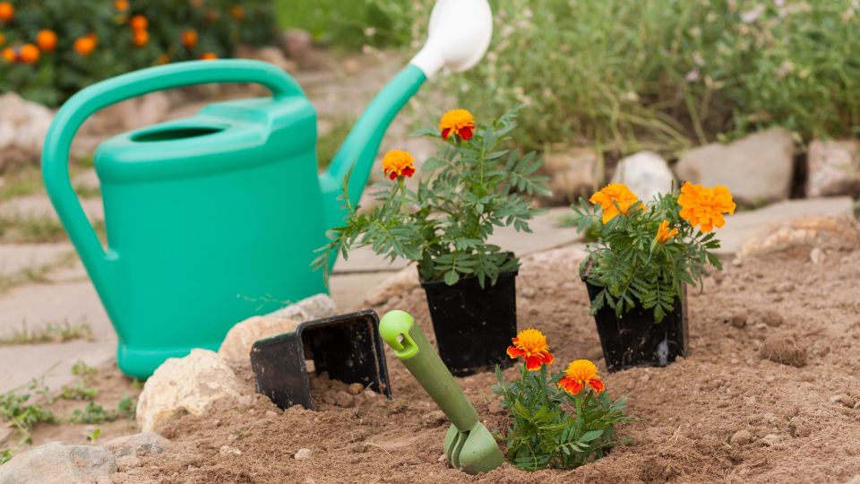 �������� ���������� � �� ������: ��� ������� �������� �������� � ���� �� ����