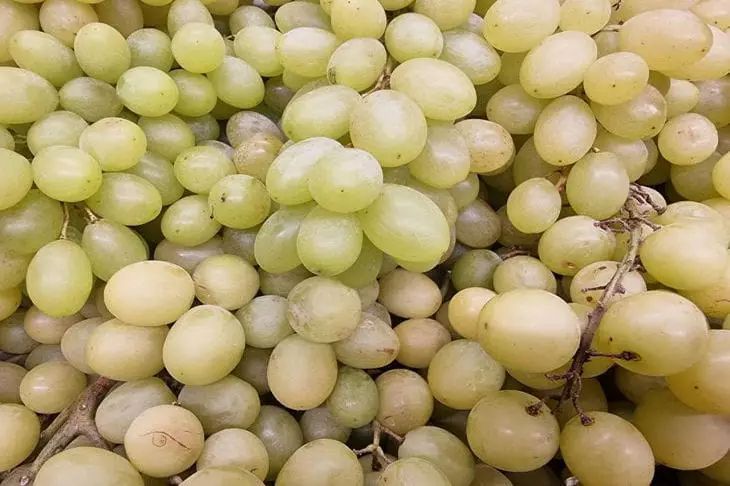 �������� ������������, ���� ������ ���������� ����������