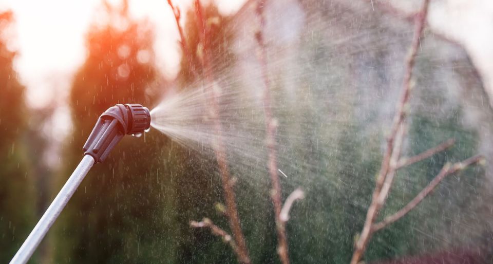 ��� ������� �������� ������������ ������ ������: ��� ����������� ������� ��� ����� ��������