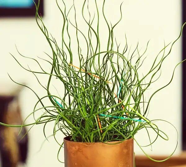 ������: ����� ����� ������� � ������ ��������� � ����� ����