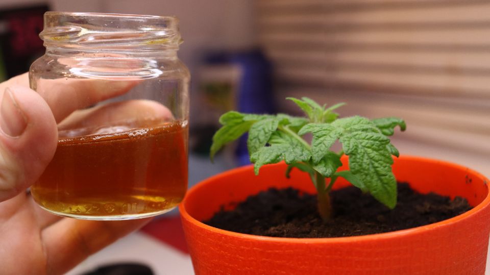 ��� ������� ������� ������� � �������� � ������� ���������