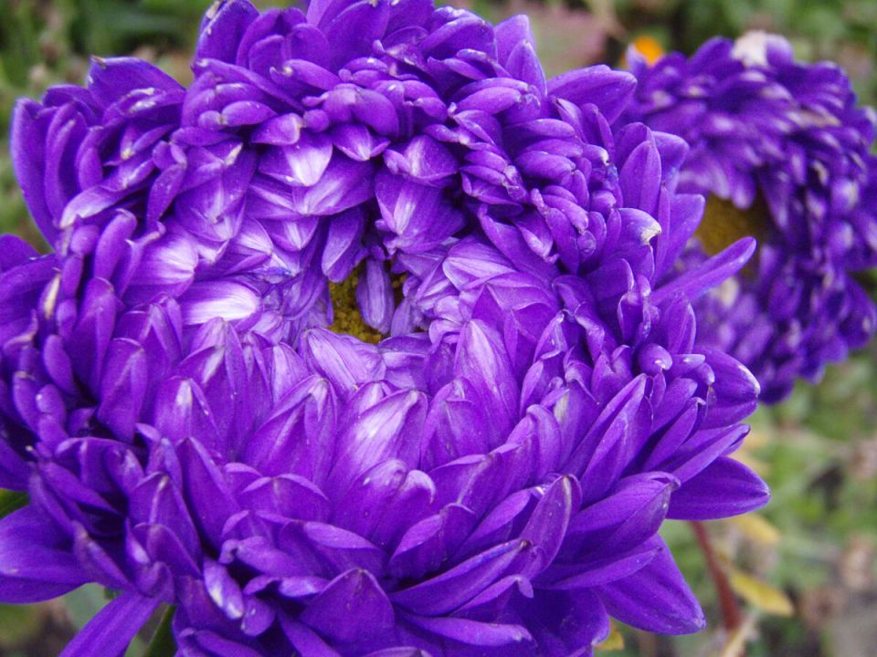 ����� ����: ������� ��������� �����������