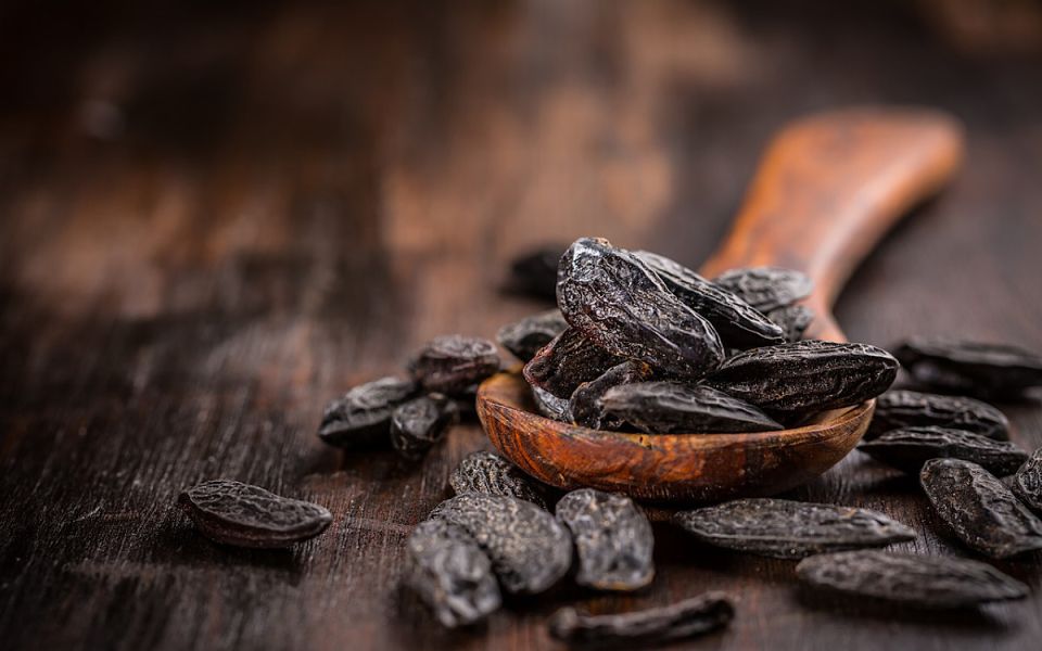 ����� ����� �����: �� ���������� �� ���������� ��������