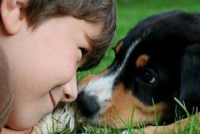 Как помочь ребенку в просьбе о собаке: советы для родителей