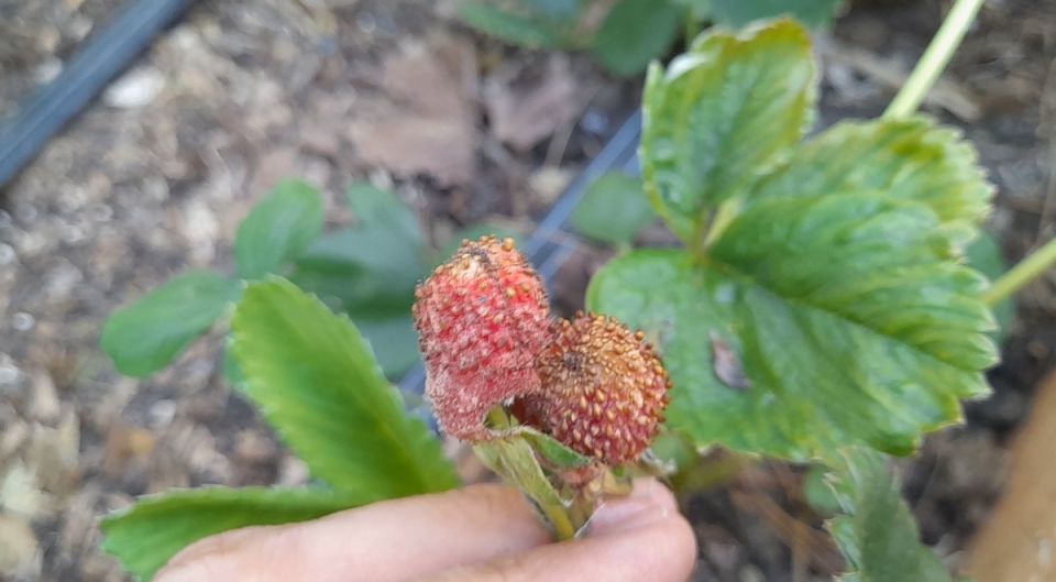 �������� ��� �������: ��� �������� ����� �� ������