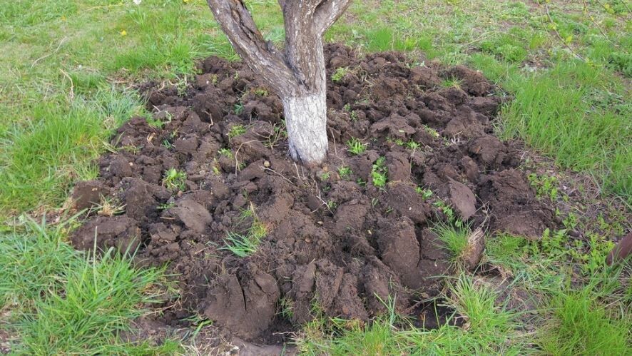 �������� ���������: ������������� ��� ������ ����� ���?