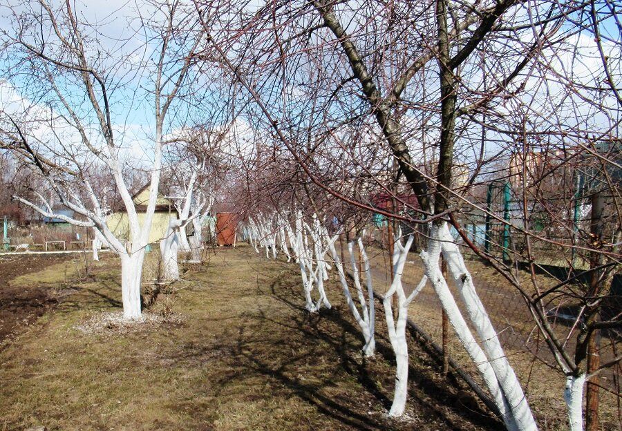 ��� ��������� ������������� ����� ������ ��� ������� ������