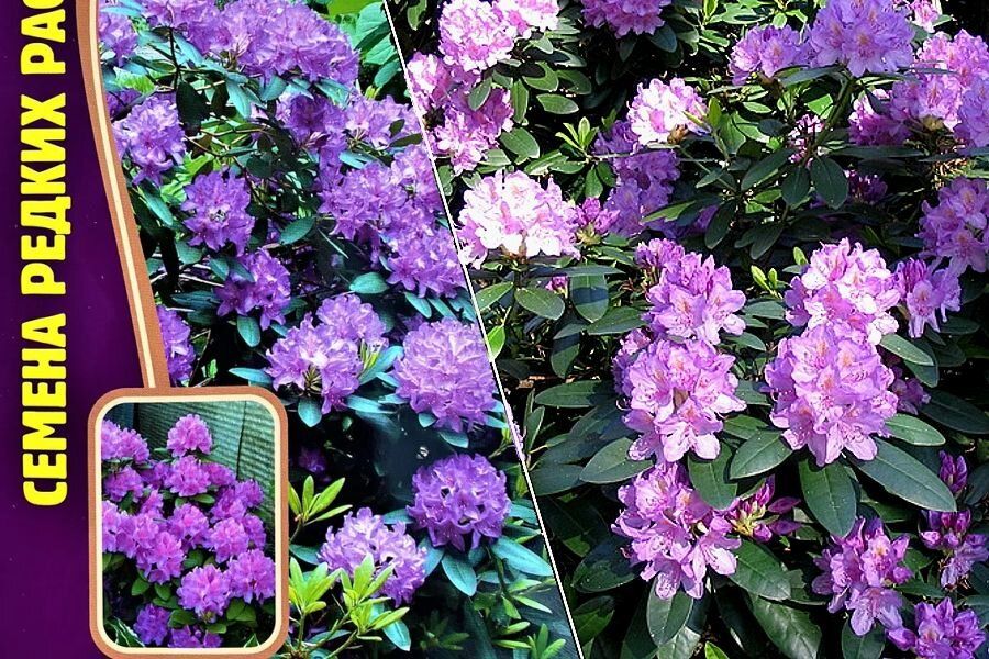 ����������� ������������� �� �����: ������� �������� �����������