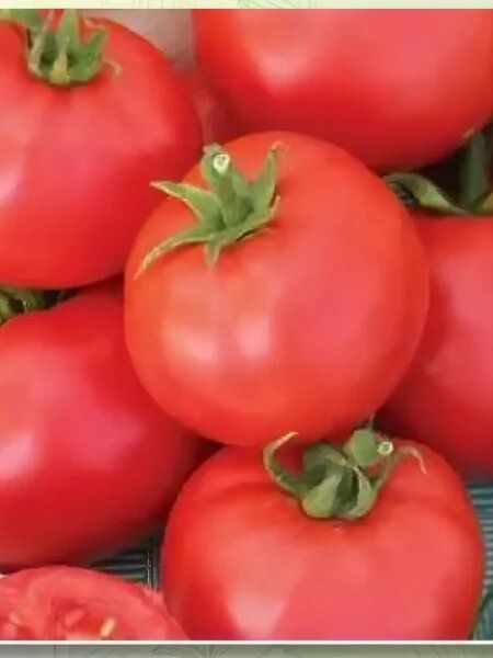 ����� �������: ���������� ���� � ������� �������, ������� ����� �����������