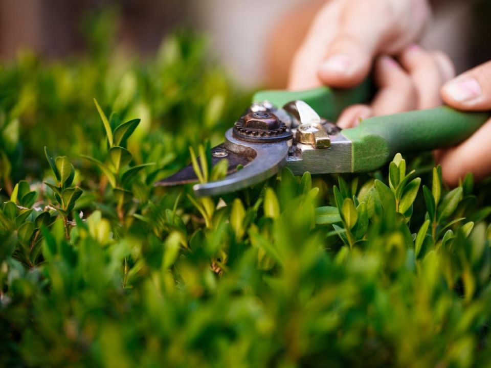 ����� �������� ����������: ������ ��� ���������� ���� � ����