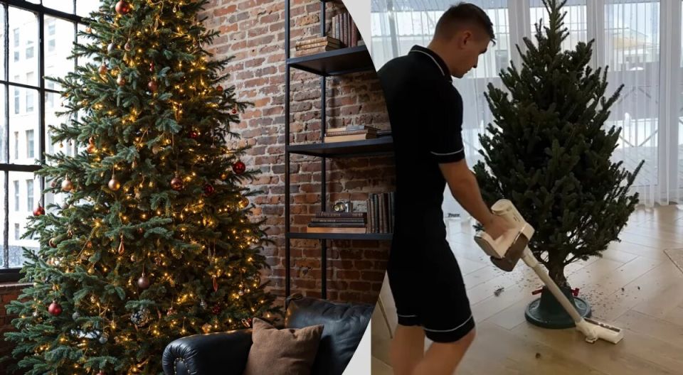 ��� �������� ������ ���������� ����: ������ �� ���������