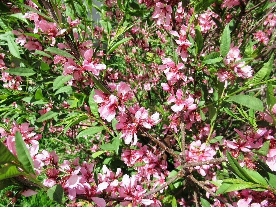 �������: ��� ��������� �� ���������� ������� � ������� ������