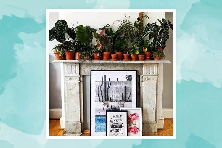 ��� ������� ������� �����: ������������ ���� ��� ���������� ��������� ��������